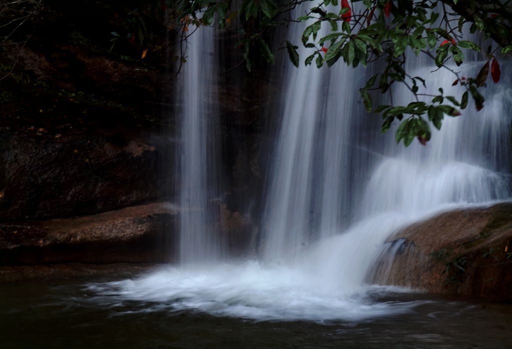dsc01582_.jpg