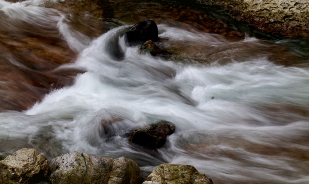 dsc02220_.jpg
