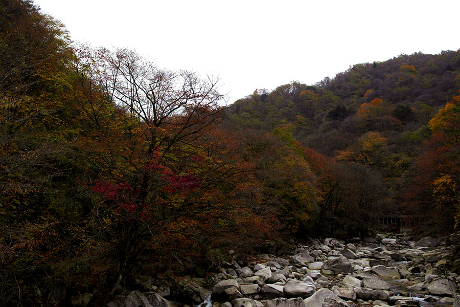 _sam0922_.jpg