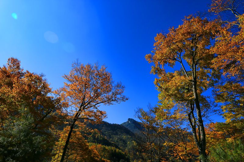 083a1106_dh.jpg