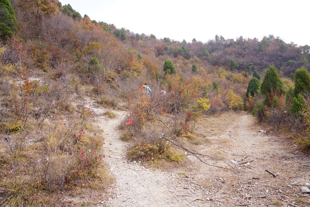马武山寨n2.jpg