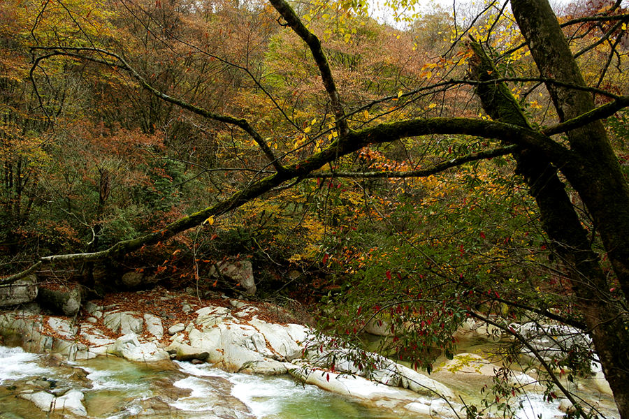 _sam0905_.jpg