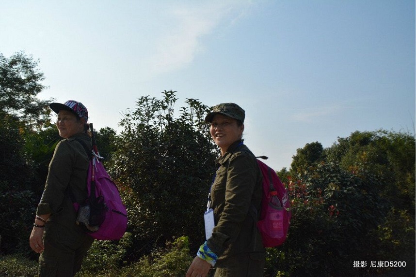 qqͼƬ20151107162158.jpg