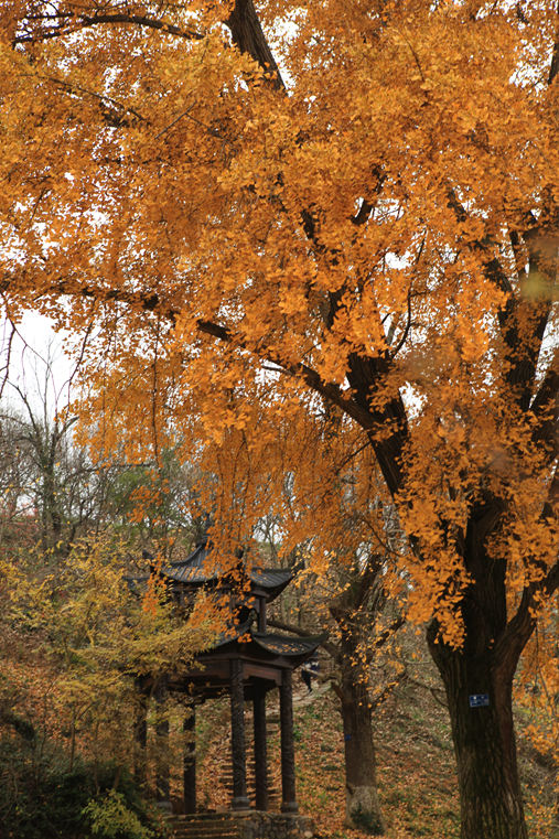 img_2682_副本.jpg