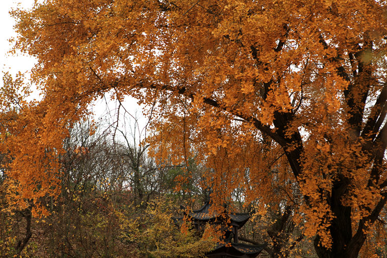 img_2685_副本.jpg