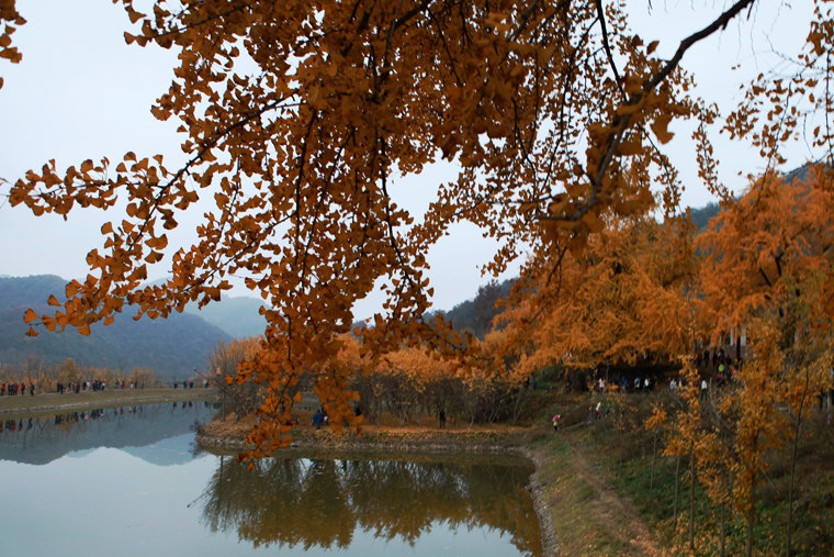 img_2727_副本.jpg