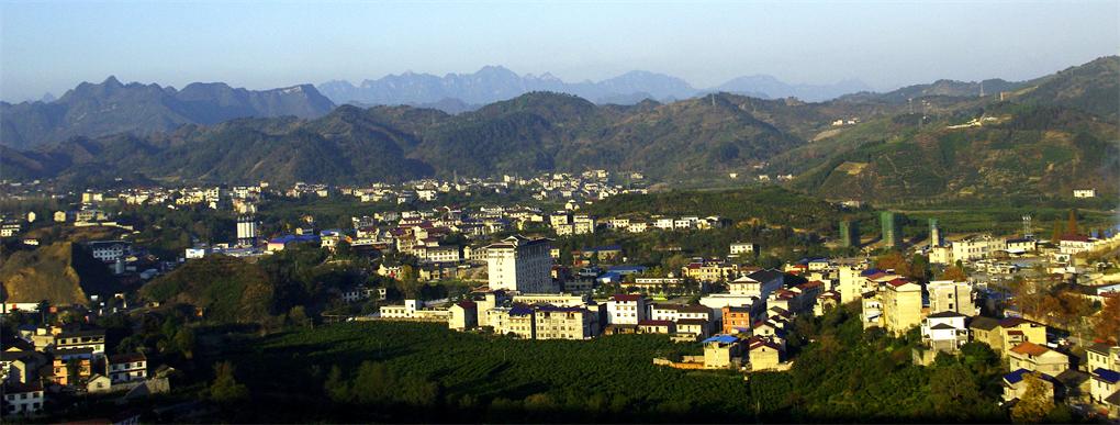 _igp3490.jpg