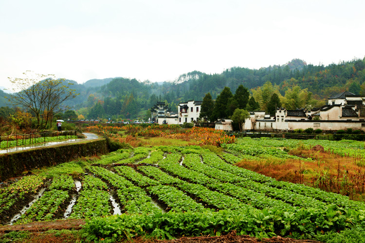 img_5306_副本.jpg
