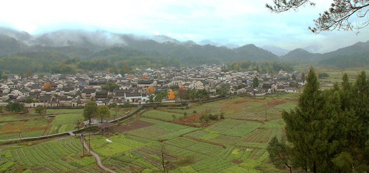 img_5308_副本.jpg