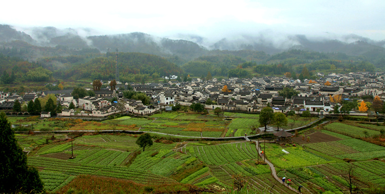 img_5310_副本.jpg