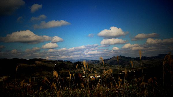 img_9063.jpg