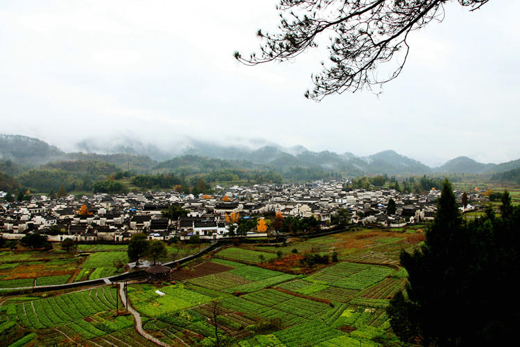 img_5313_副本.jpg