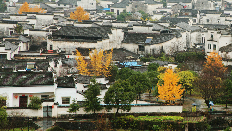 img_5316_副本.jpg