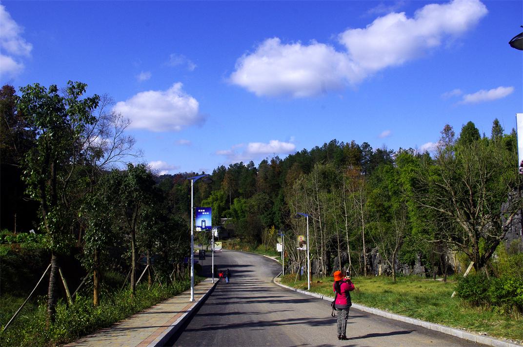 _igp5310.jpg