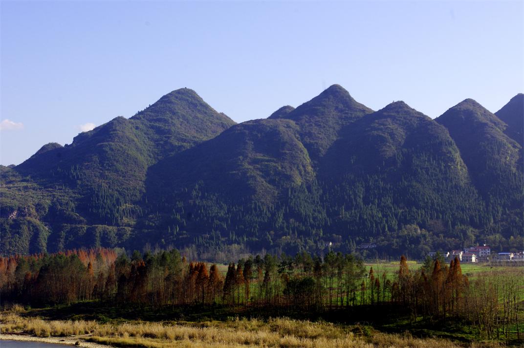 _igp5563.jpg
