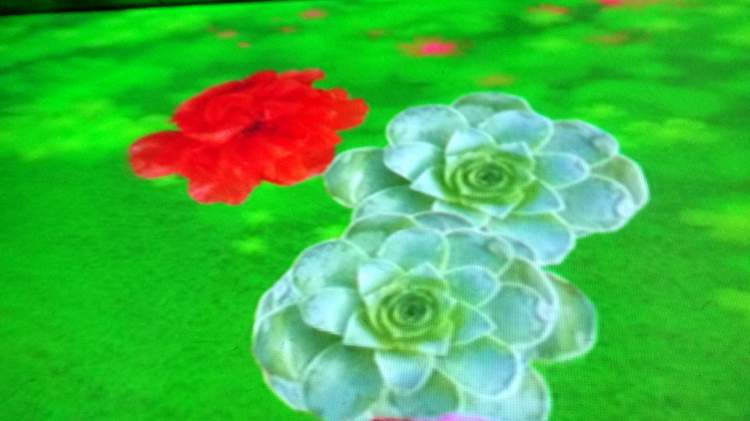 步步是花电子地板001.jpg