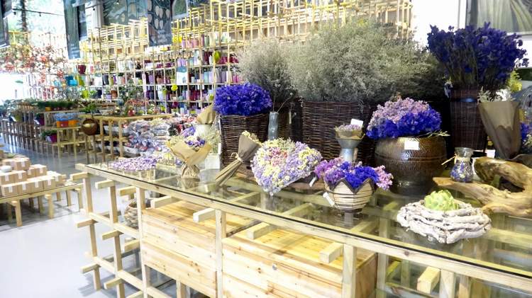 园林艺术馆的干花商店002.jpg