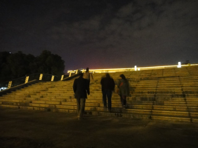 dsc07953.jpg