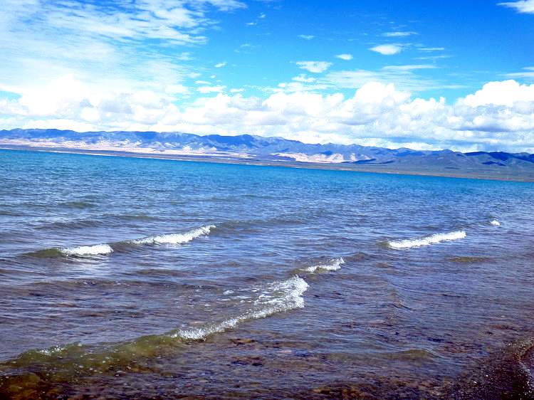 青海湖.jpg