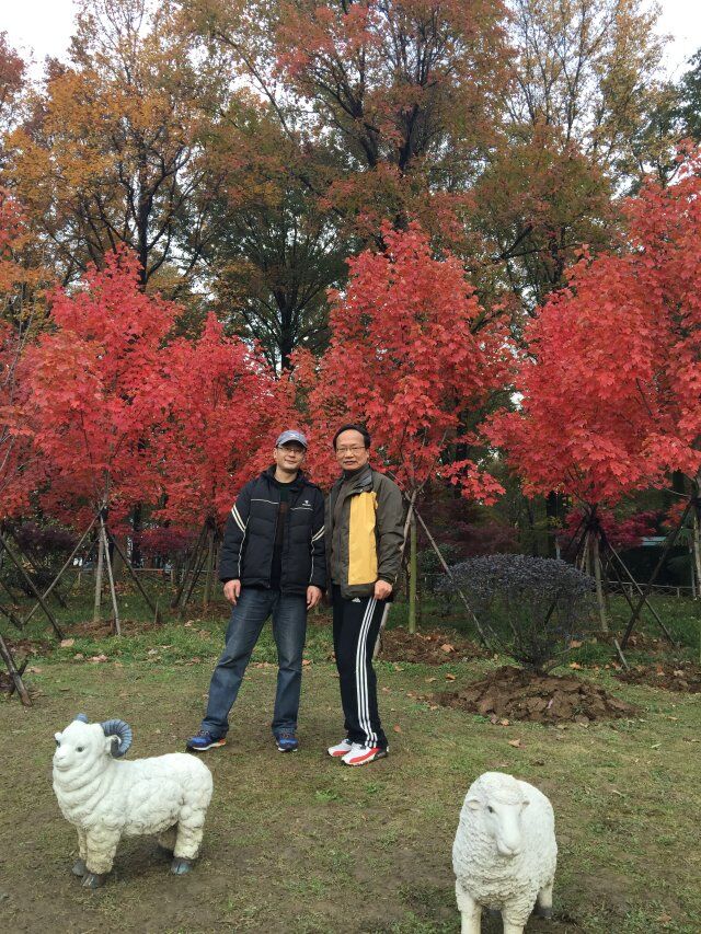 qqͼƬ20151207091043.jpg