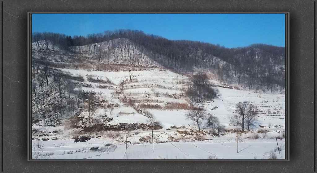 20150113_132626_.jpg