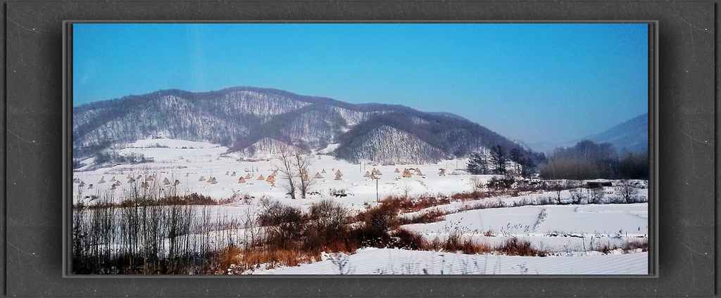 20150113_132929_.jpg