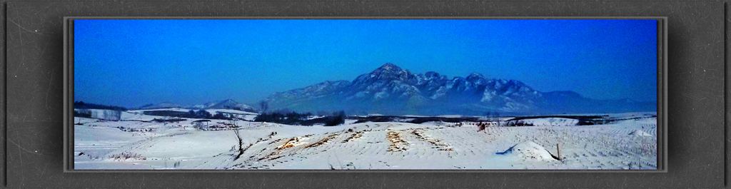 20150113_134414_.jpg