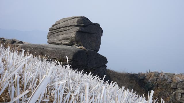 dsc07540.jpg