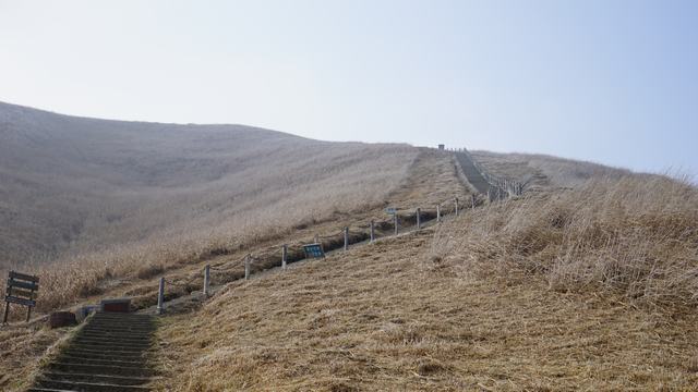 dsc07522.jpg