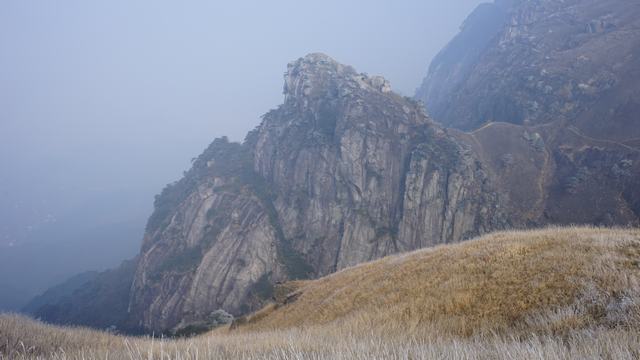 dsc07528.jpg