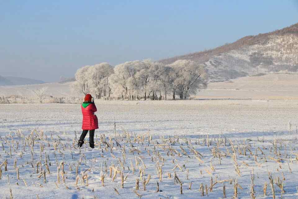 qq图片20150129131955.jpg