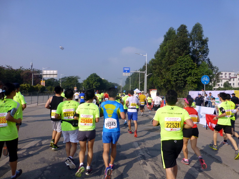 p1290337.jpg