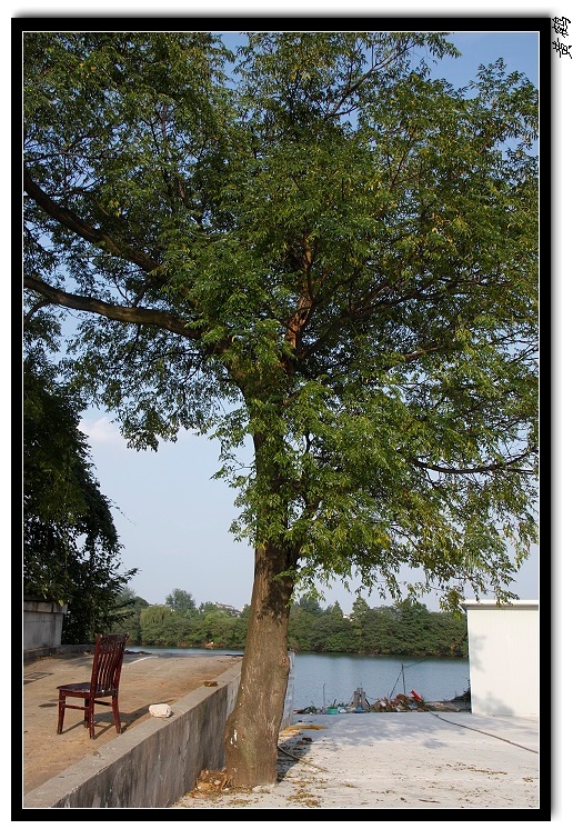 --ź06.jpg