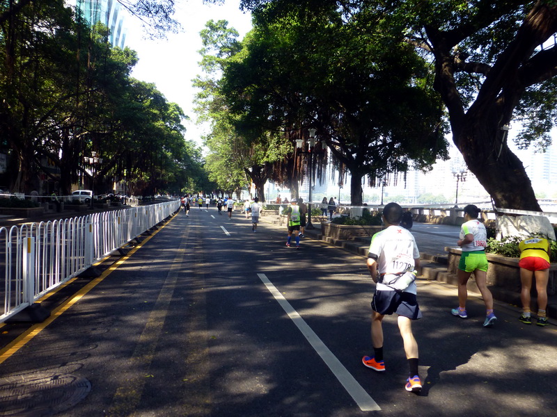 p1290423.jpg