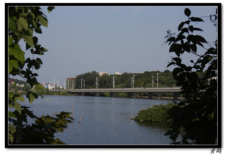 --ź08.jpg