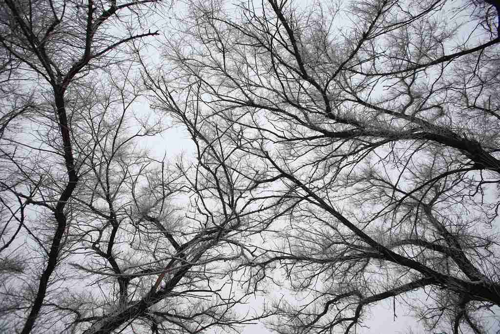 bw3p6097_副本.jpg