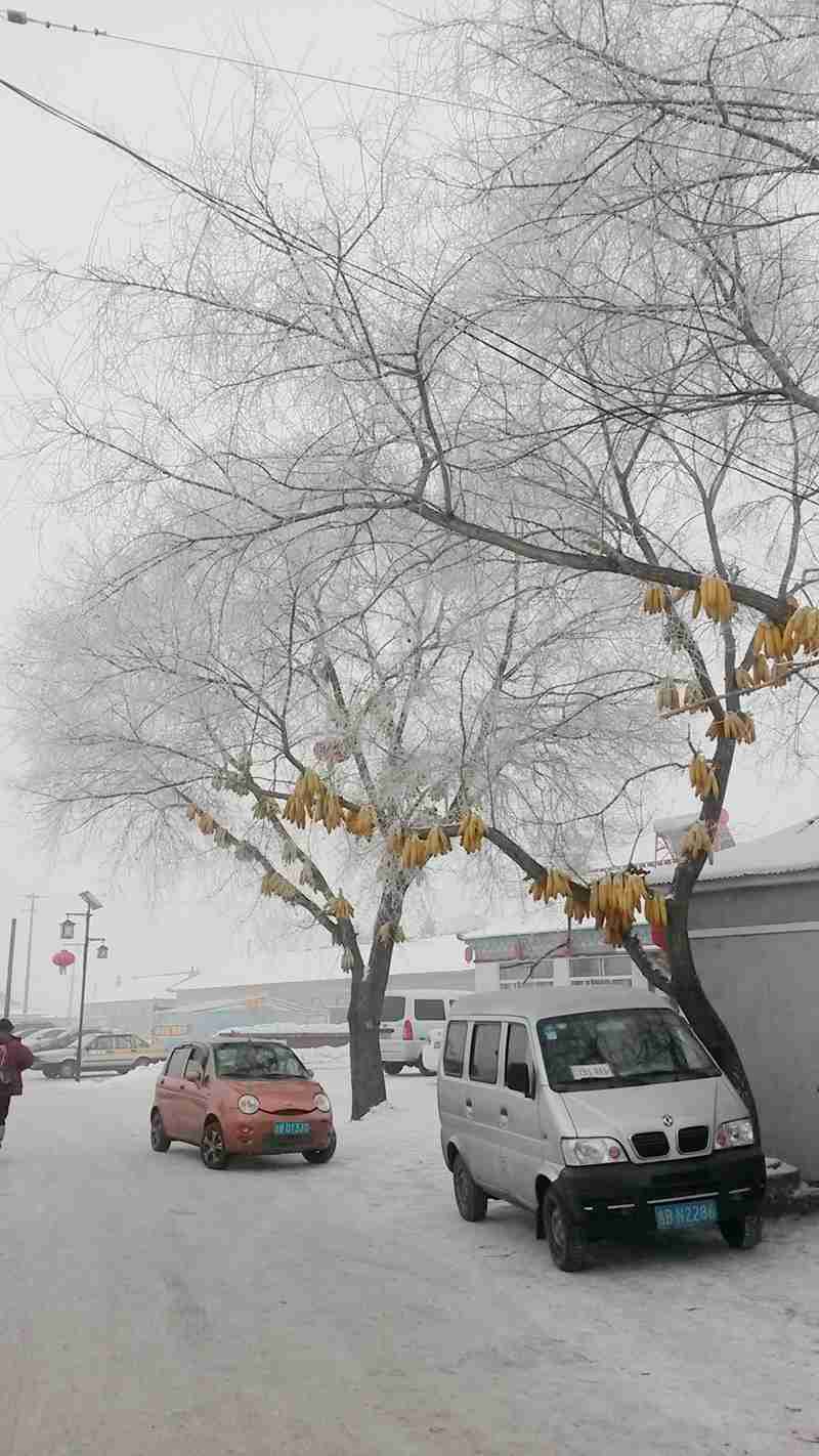 20150114_102616_副本.jpg