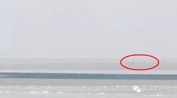64011.jpg