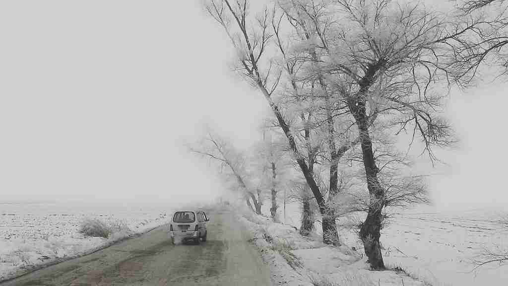 20150114_113224_副本.jpg