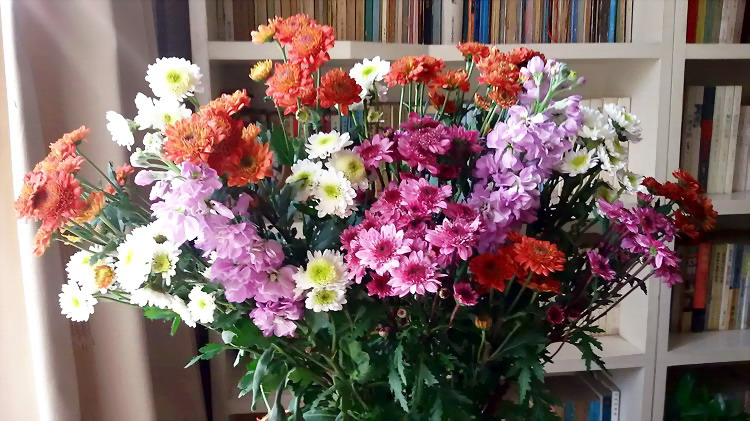 ڵĳջ.jpg