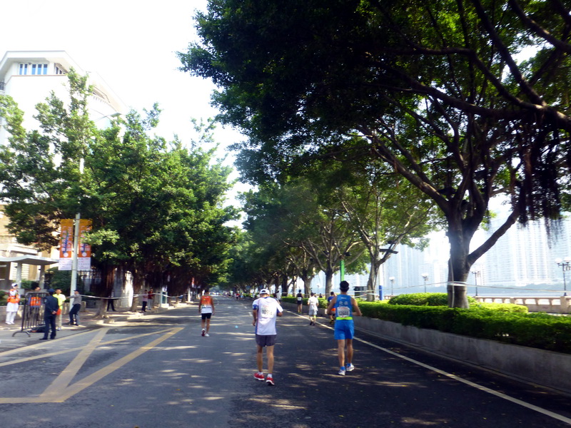 p1290465.jpg