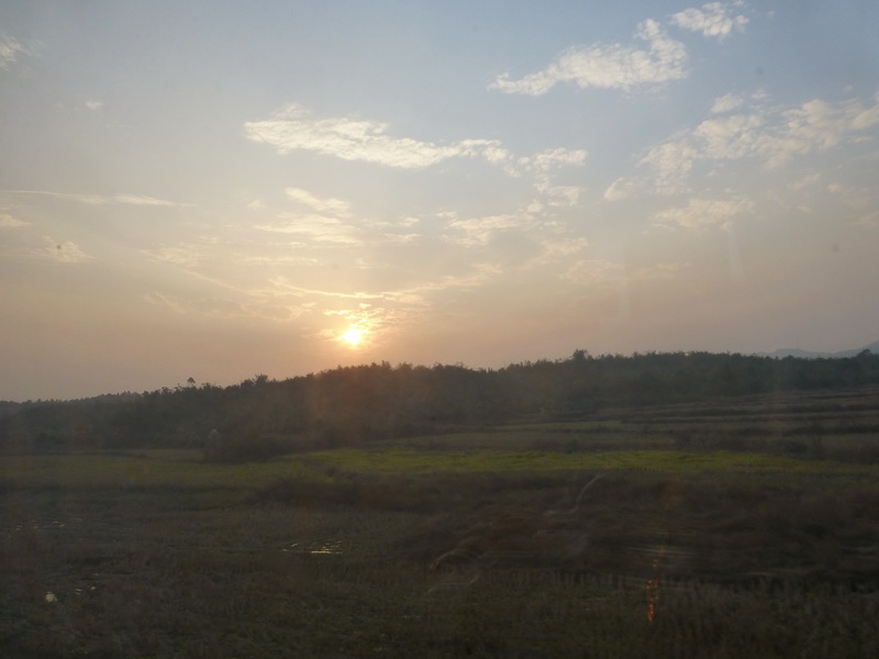 p1290537.jpg