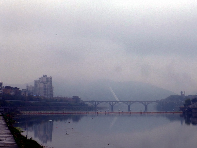 p1290561.jpg