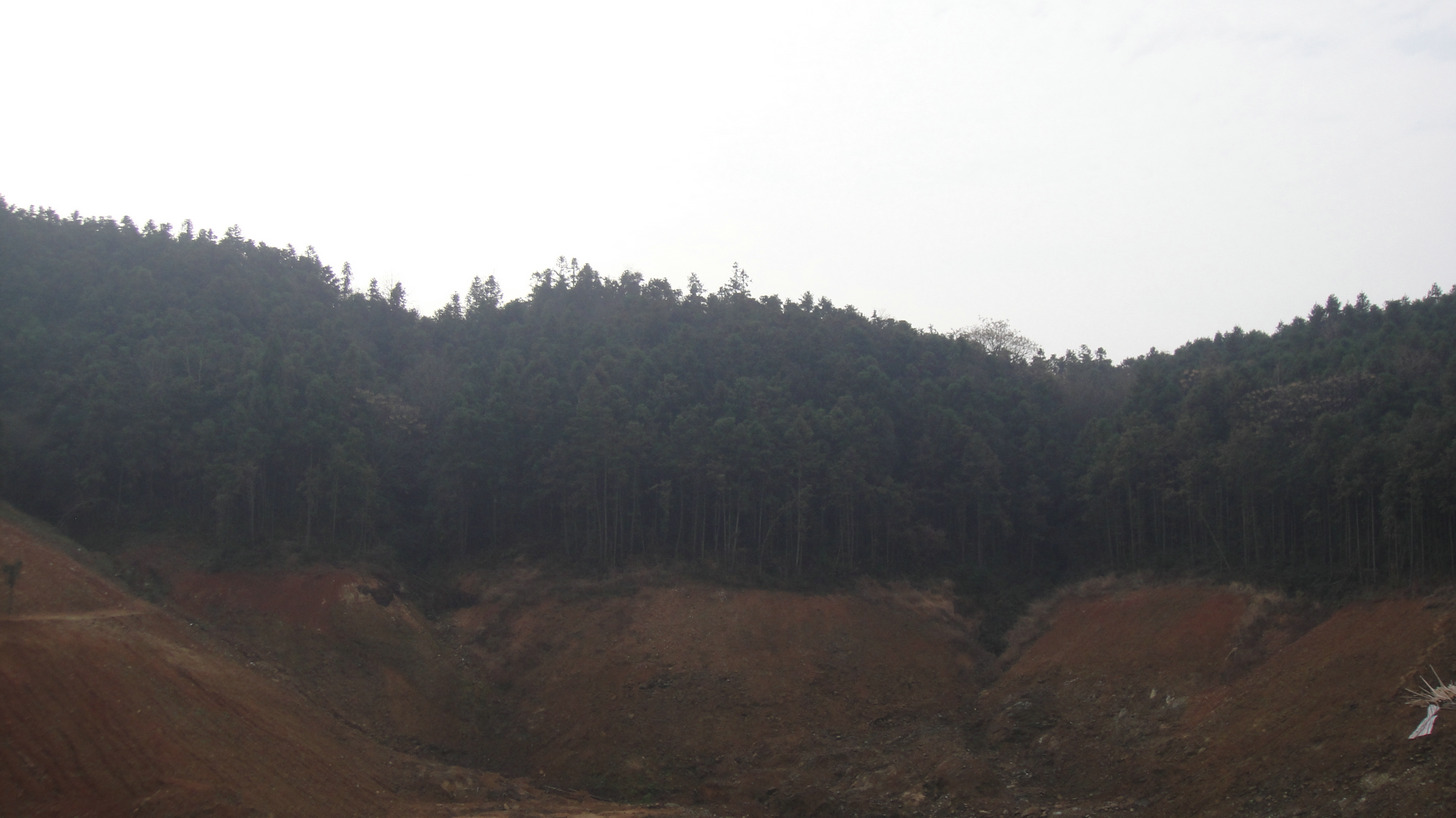 dsc03783.jpg