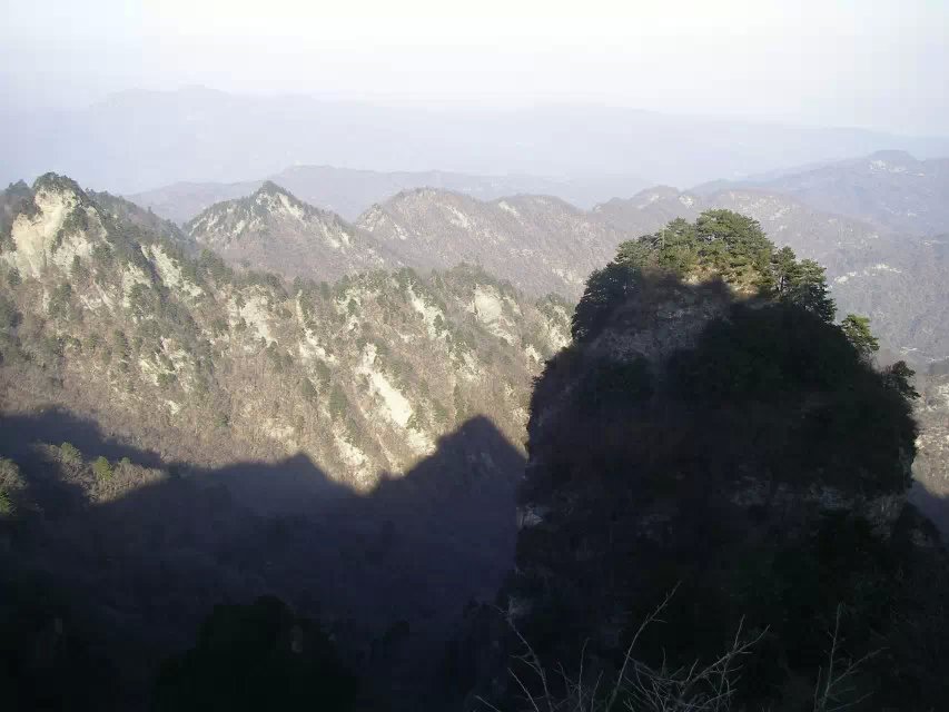 cadmli0m.jpg