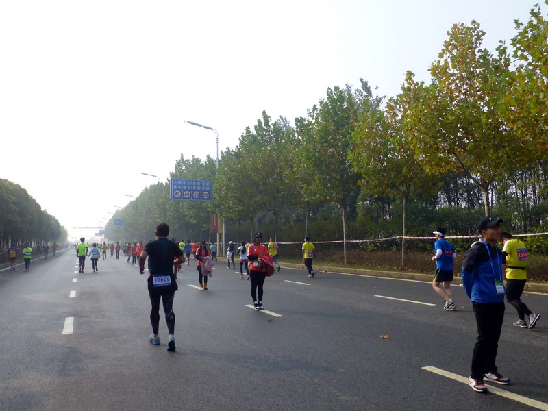 p1280833.jpg