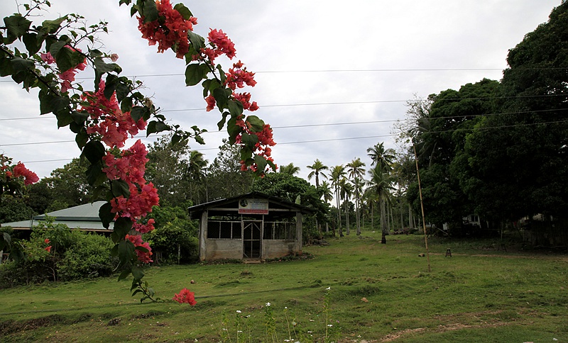 _mg_2920.jpg
