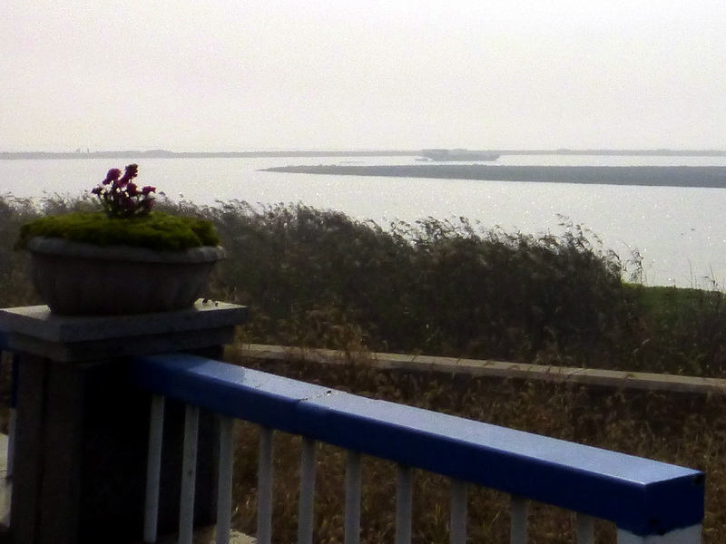 p1280864.jpg