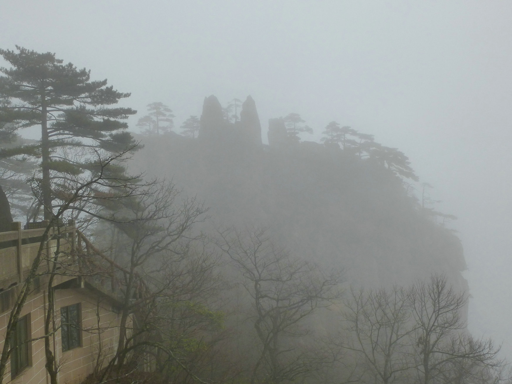 p1020017_1.jpg