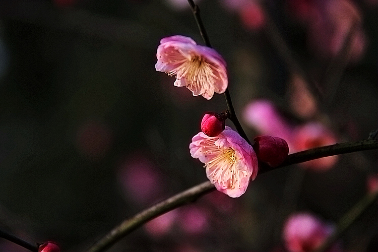 img_9160.jpg